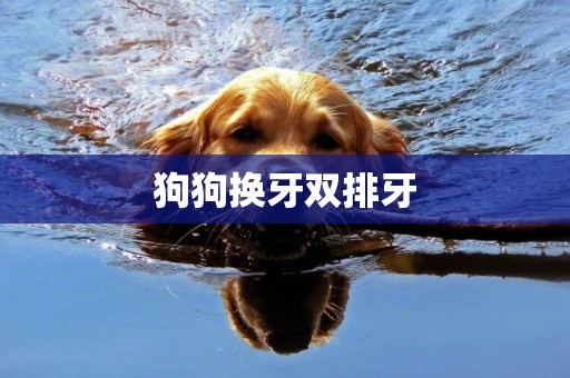 狗狗換牙雙排牙