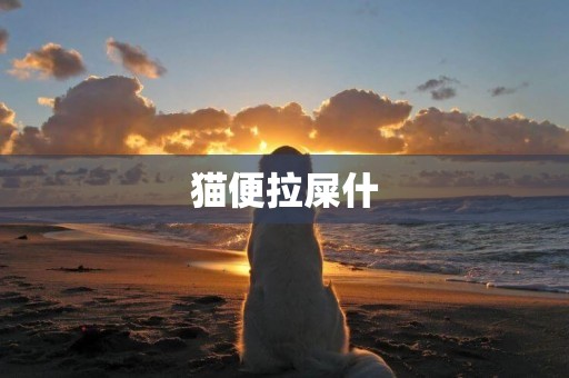 貓便拉屎什