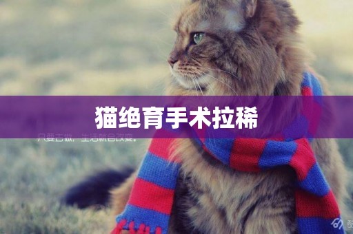 貓絕育手術拉稀