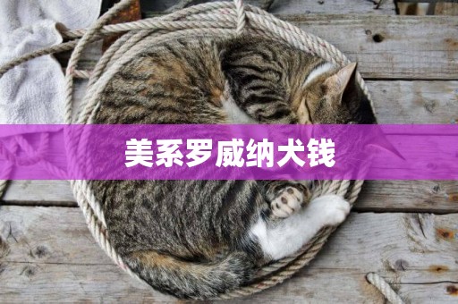 美系羅威納犬錢