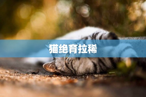 貓絕育拉稀