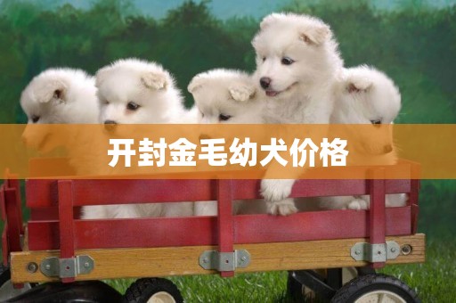 開封金毛幼犬價格