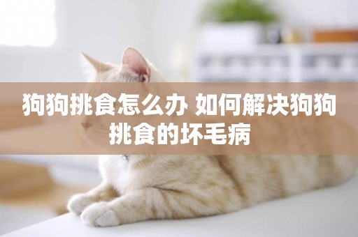 狗狗挑食怎么辦 如何解決狗狗挑食的壞毛病