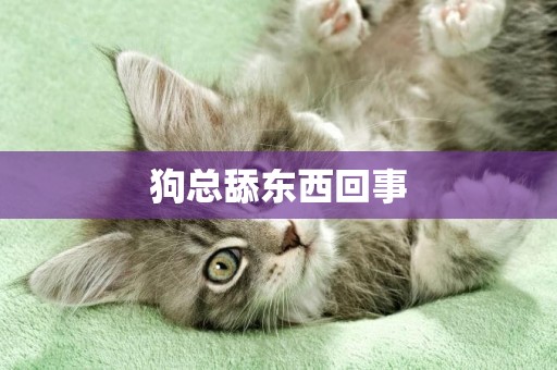 狗總舔東西回事