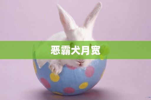惡霸犬月寬