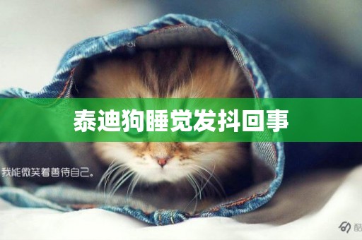 泰迪狗睡覺發抖回事