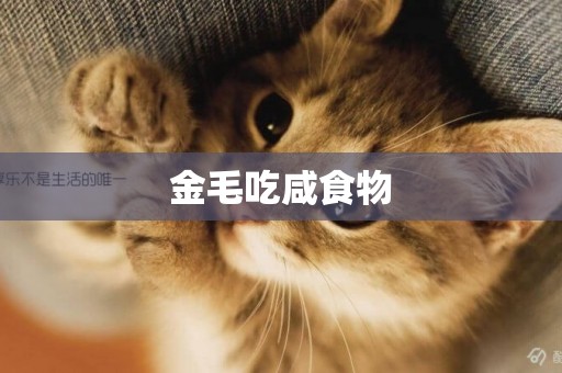 金毛吃咸食物