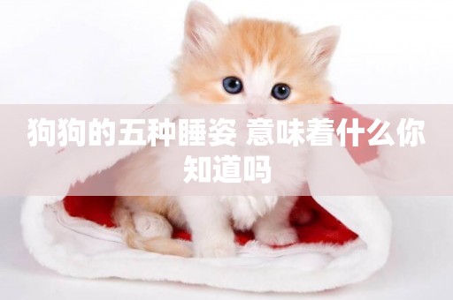 狗狗的五種睡姿 意味著什么你知道嗎