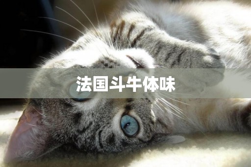 法國斗牛體味