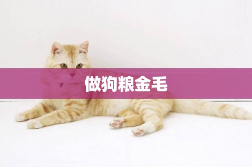 做狗糧金毛