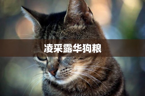 凌采露華狗糧