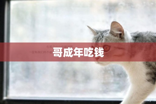 哥成年吃錢