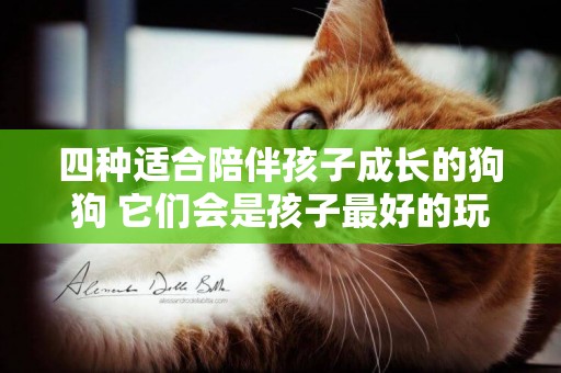 四種適合陪伴孩子成長的狗狗 它們會是孩子最好的玩伴