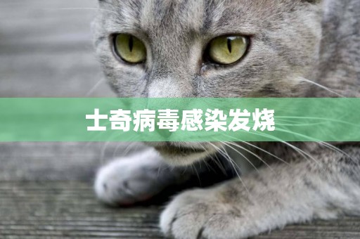 士奇病毒感染發燒