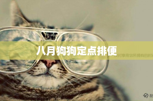 八月狗狗定點排便