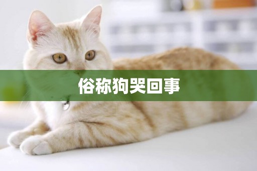 俗稱狗哭回事