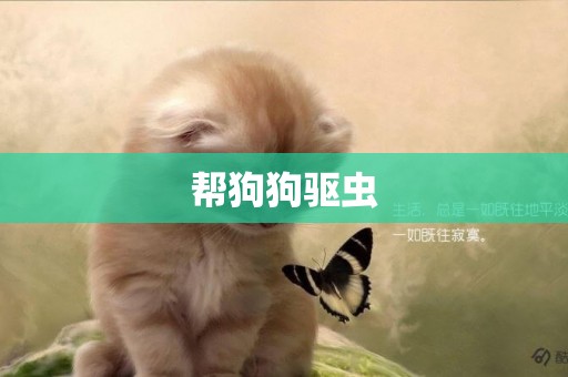 幫狗狗驅蟲