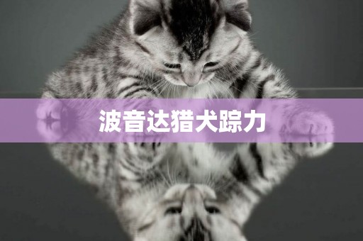 波音達獵犬蹤力
