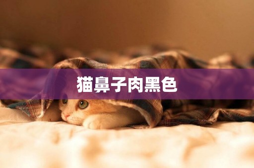貓鼻子肉黑色