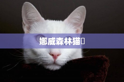 娜威森林貓錢