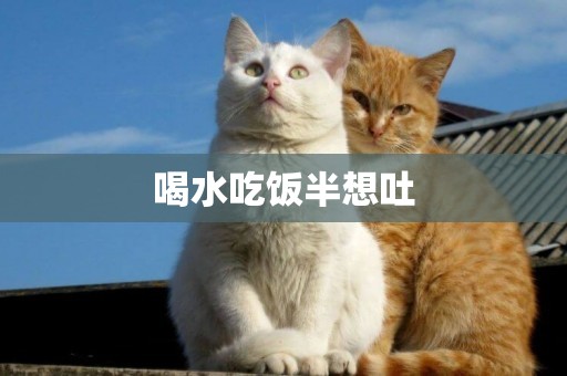 喝水吃飯半想吐