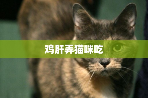 雞肝弄貓咪吃