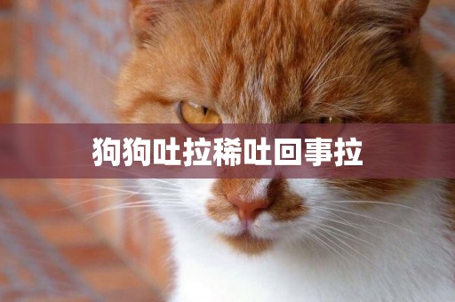狗狗吐拉稀吐回事拉