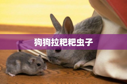 狗狗拉粑粑蟲子