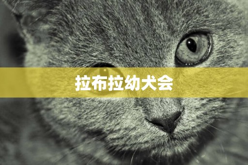 拉布拉幼犬會