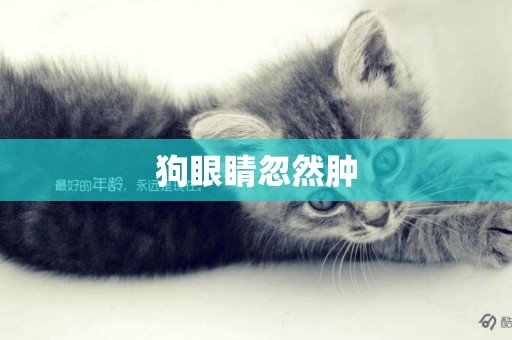 狗眼睛忽然腫