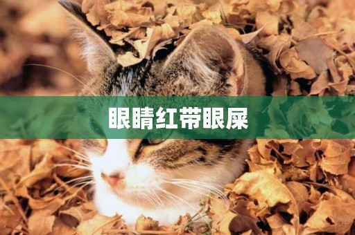 眼睛紅帶眼屎