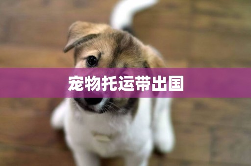 寵物托運帶出國