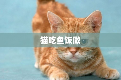 貓吃魚飯做