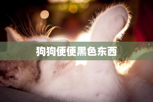 狗狗便便黑色東西