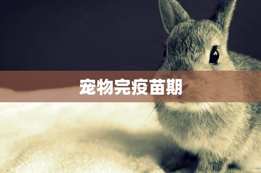 寵物完疫苗期