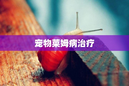 寵物萊姆病治療