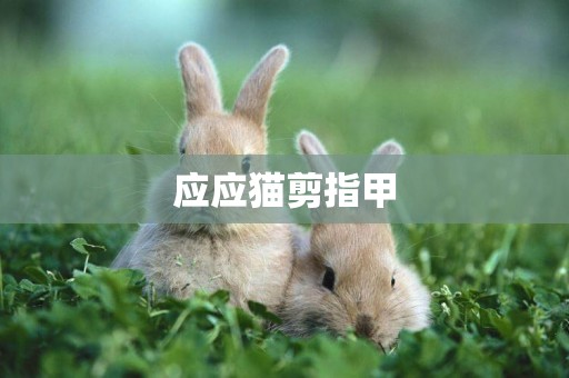 應應貓剪指甲
