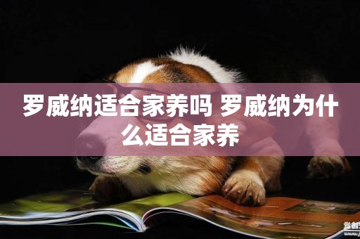 羅威納適合家養嗎 羅威納為什么適合家養