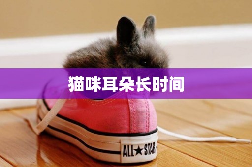 貓咪耳朵長時間