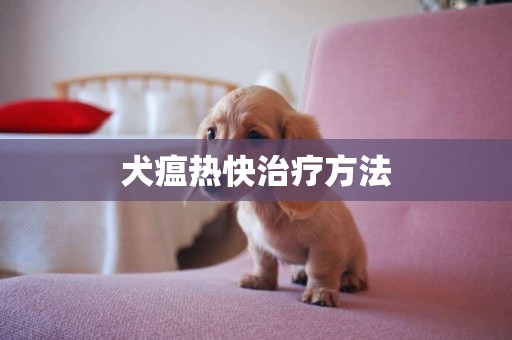 犬瘟熱快治療方法