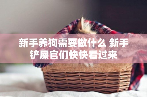 新手養狗需要做什么 新手鏟屎官們快快看過來