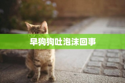 早狗狗吐泡沫回事
