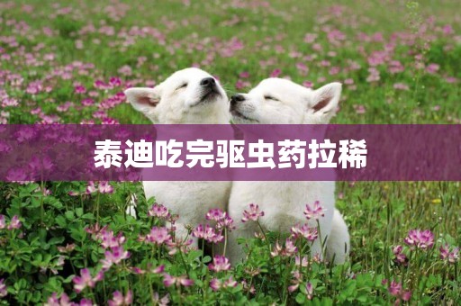泰迪吃完驅蟲藥拉稀