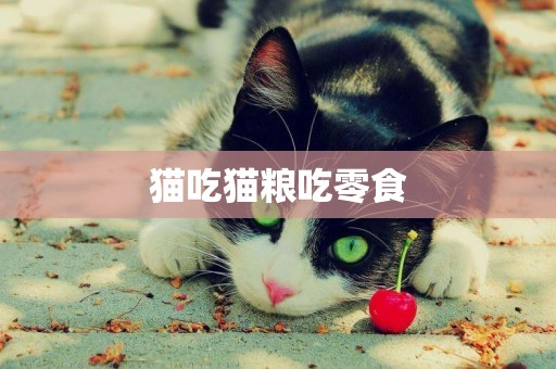 貓吃貓糧吃零食