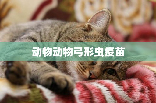 動物動物弓形蟲疫苗