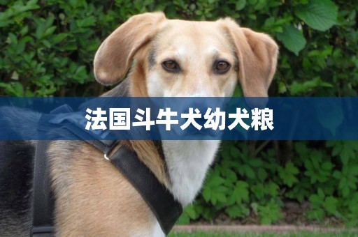 法國斗牛犬幼犬糧