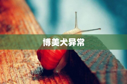 博美犬異常