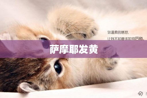 薩摩耶發黃