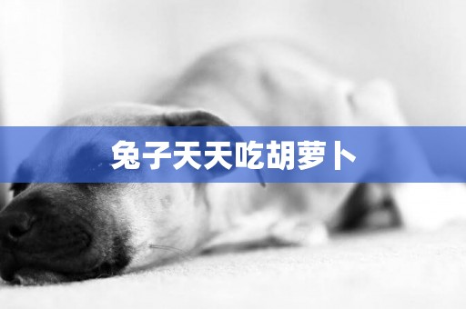 兔子天天吃胡蘿卜