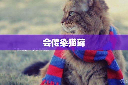 會傳染貓蘚